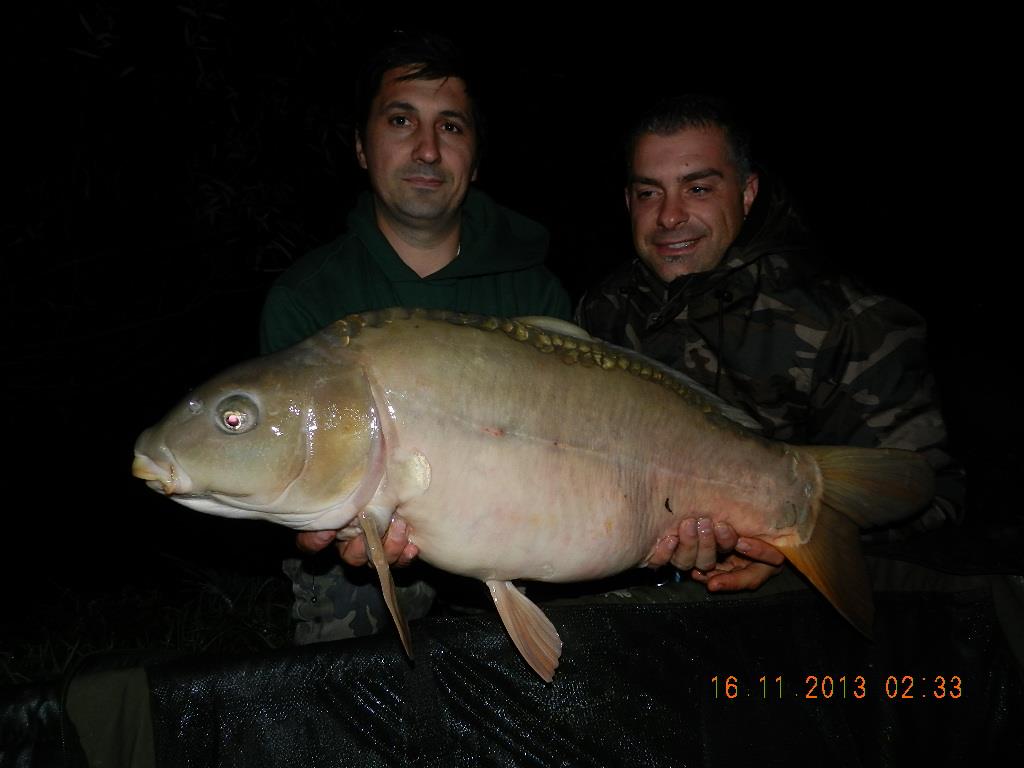 15 noiembrie 2013 - dscn1758.JPG